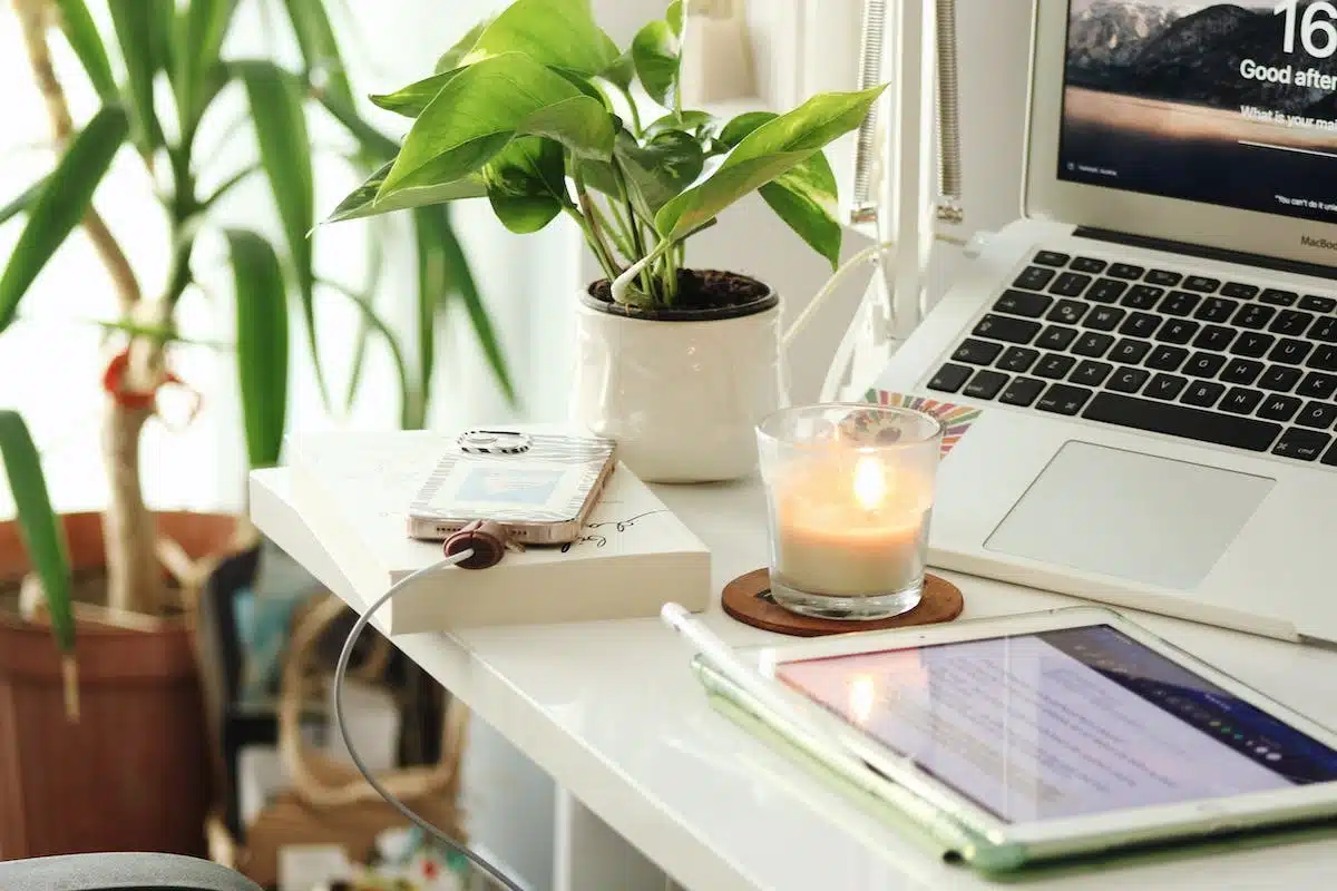 bureau  plantes