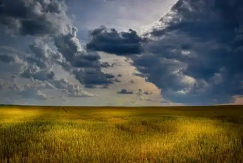 Prévenir les allergies saisonnières de manière naturelle : les méthodes efficaces !