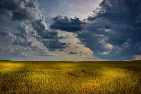 Prévenir les allergies saisonnières de manière naturelle : les méthodes efficaces !