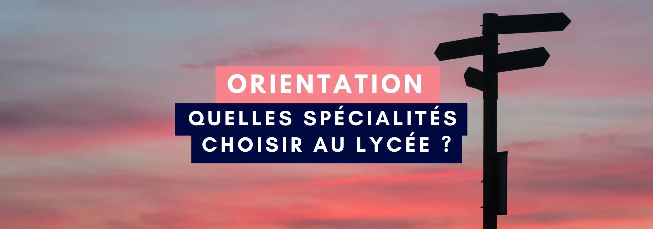 Quelles spécialités garder en terminale ?