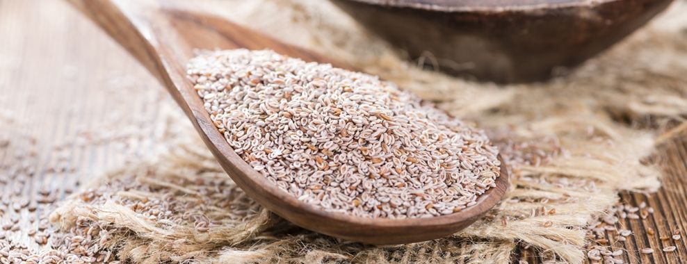 Quand Faut-il prendre le psyllium ?