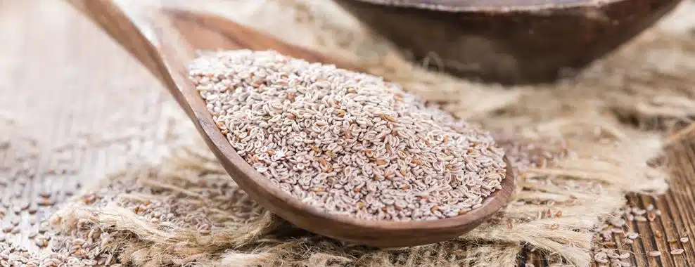 Quand Faut-il prendre le psyllium ?