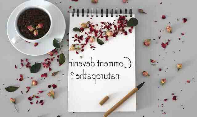 Quelles sont les etudes pour devenir naturopathe ?