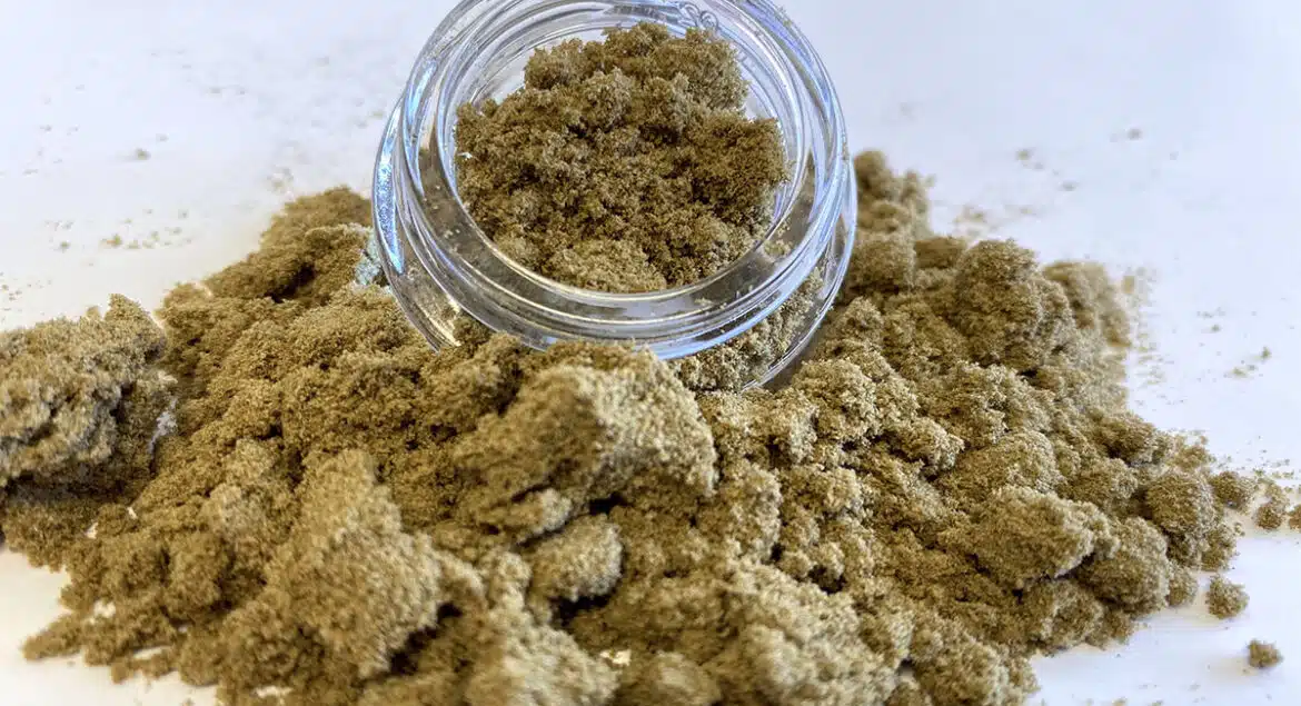 Quelles sont les caractéristiques du pollen de CBD