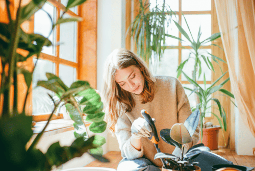 Quelles sont les etudes pour devenir naturopathe ?
