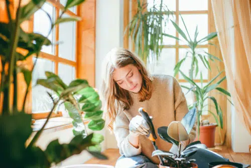 Quelles sont les etudes pour devenir naturopathe ?